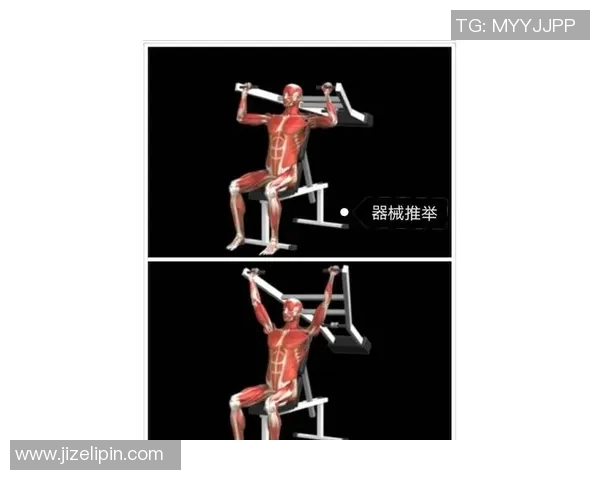 全方位力量训练指南：打造强健体魄的科学方法与实用技巧